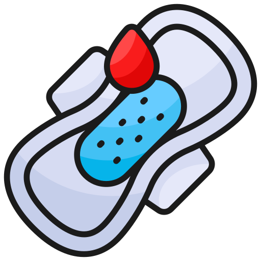 menstruation hygiene program